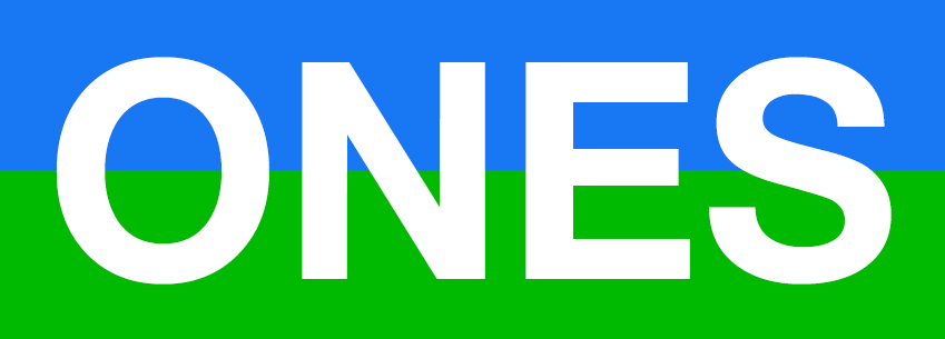 ONES Now Documentation